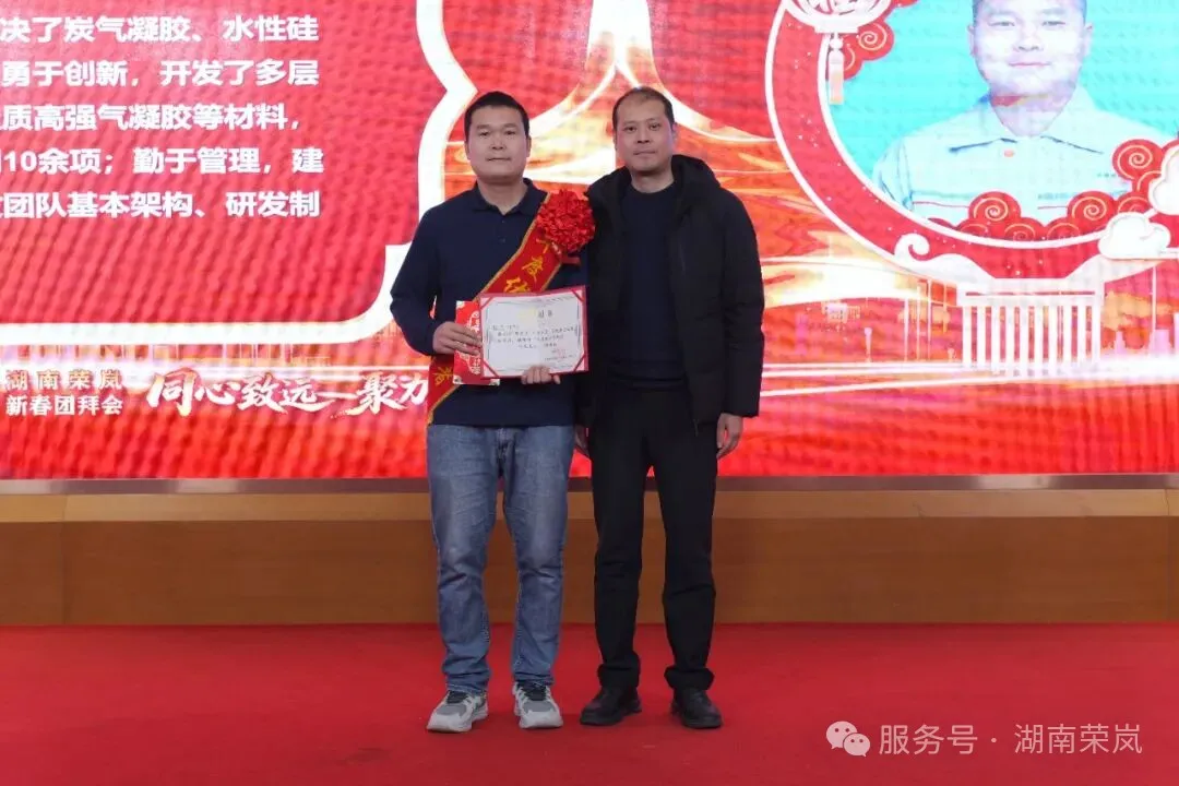 同心致远 聚力腾飞| 湖南荣岚新春团拜会暨年度先进表彰会圆满落幕!