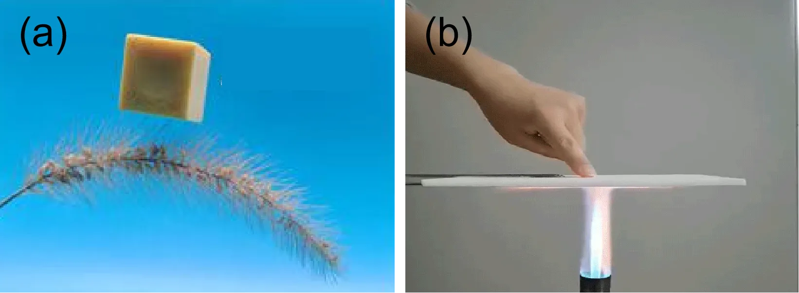图1 (a)气凝胶轻质特性 (b)高效隔热和阻燃特性